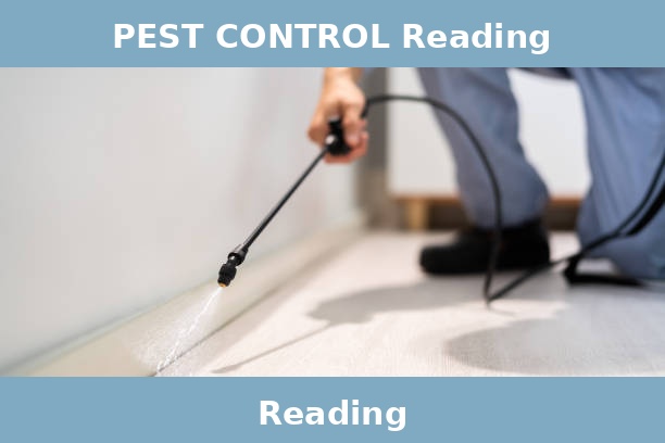 PEST CONTROL Reading